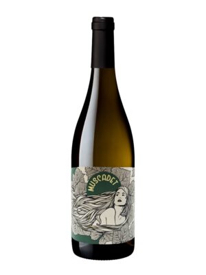 La Muse Muscadet-Sèvre et Maine Sur Lie