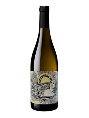 La Muse Sauvignon Val de Loire IGP